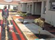Paving Services in Harare Zimbabwe